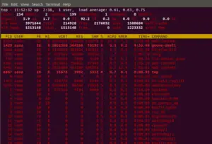 How to Use the Linux Top command – VITUX