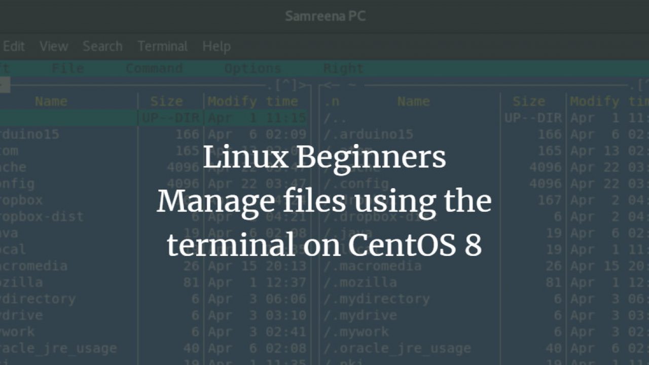 Linux Beginners Manage Files Using The Terminal On Centos 8 Vitux